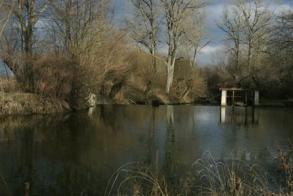 Penzion U Reky Vojkovice  Luaran gambar